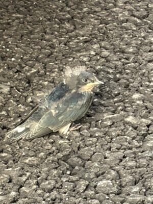 IMG_5835.jpeg